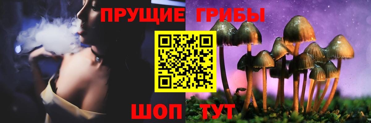Галлюциногенные грибы MAGIC MUSHROOMS Пугачёв